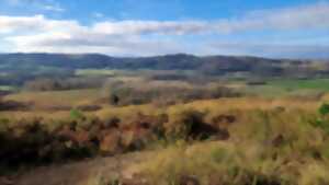 photo Biodivélo : Roulons à tire d'ailes vers les landes d'Abos et les papillons présents !