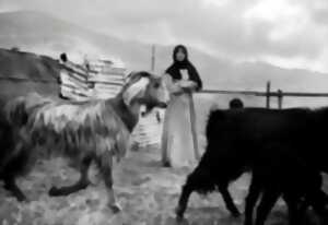 photo Exposition TEMPORARY LAND