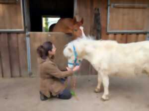 photo Atelier petits soigneurs