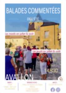 photo Balades commentées de l'été