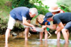 photo Eté actif - Orpaillage en rivière