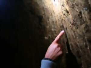 photo Eté actif - Balade en calèche