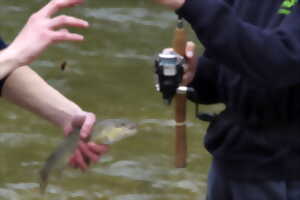 photo OPÉRATION  : MON PREMIER PERMIS DE PÊCHE 