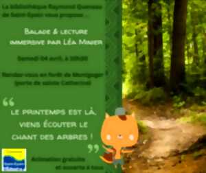 photo Ecoute le chant des arbres - Balade et lecture immersive en forêt