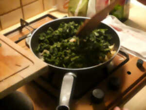 photo Cuisine sauvage, cueillette et dégustation