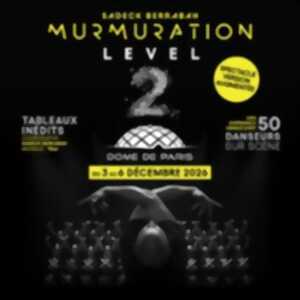 photo Murmuration Level 2 - Version Augmentée - Dôme de Paris