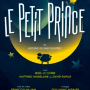 photo Le Petit Prince - Tournée