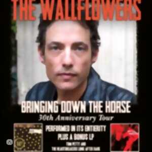 photo The Wallflowers