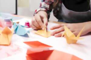 photo Les ateliers de l'Interval : Atelier Origami en partenariat avec Action Solid'Eyre