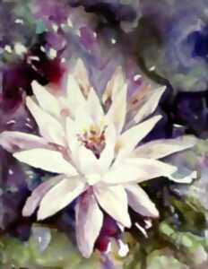 photo Atelier aquarelle sur papier yupo