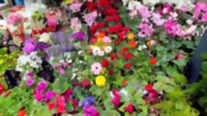 photo Marché aux fleurs