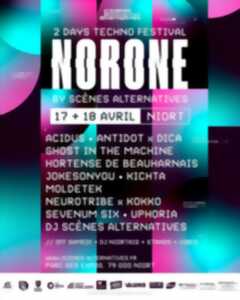 photo Norone Festival à Niort