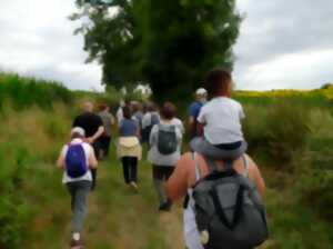 photo Randonnée guidée au Tallud