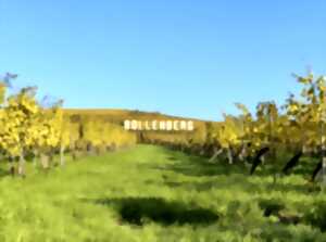 photo Rendez-vous sur la colline