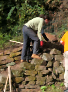 photo “Mettez la main dans la terre” Muret de pierre sèche au jardin : un atout biodiversité