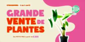 photo Grande vente de plantes