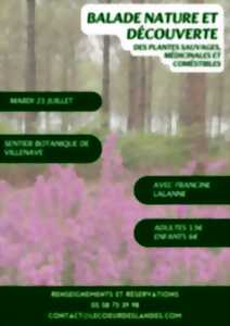 photo A la découverte des plantes sauvages, médicinales et comestibles avec Francine