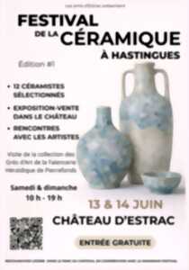photo Festival de la Céramique à Hastingues - Edition #1