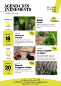 photo Teinture végétale sur papier avec Les Elixirs de Terre Mère