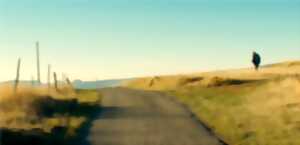 photo Projection-Rencontre «La vie moderne» à Niort