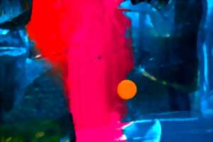 photo EXPOSITION LIBRE COMME L'ART