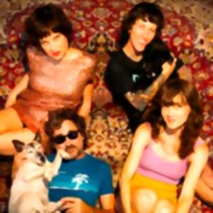 photo Tropical Fuck Storm + Tchotchke + Henry