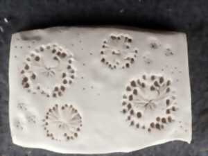 photo Empreintes végétales sur argile