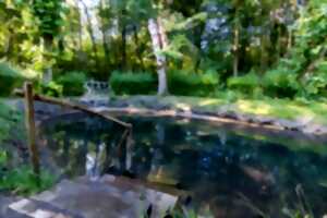 photo Atelier AWE en forêt