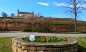 photo Partez à la découverte des traditions de Pâques et du printemps