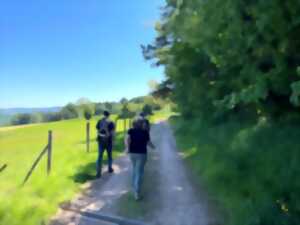 photo Randonnée printanière