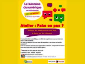 photo Atelier à la médiathèque : Fake ou pas ?