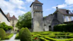 photo Spectacle : Du vent dans les plumes