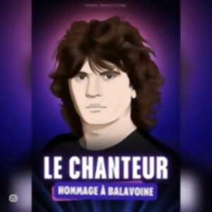 photo Le Chanteur - Hommage à Balavoine