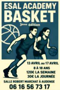 photo Stage de basket