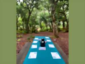 photo Chasse aux trésors