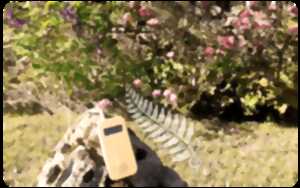 photo Initiation à la musique des plantes