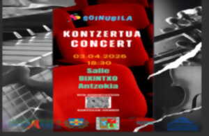 photo Concert de Soinubila