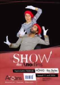 photo Le Show des Anodins au Hönig Ibis Styles