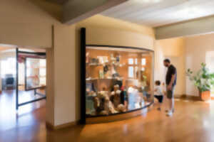 photo Chasse aux oeufs