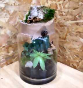 photo Atelier Floral - Petit Terrarium de Plantes Grasses