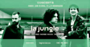 photo La Jungle en concert à La Grenze