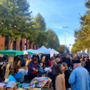 photo Le vide-greniers du Conseil des Quinze