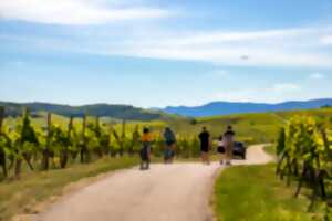 photo Porte ouverte du Domaine Siebert