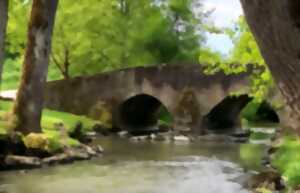 photo Marche du Loup Gourmand du 8 mai