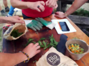 photo De la cuisine au compost