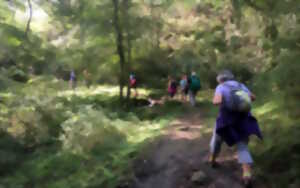 photo Randonnée accompagnée avec Ramondia : Ibanteli