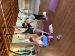 photo Formation en Yoga aérien