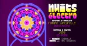 photo 6e édition des nuits électro