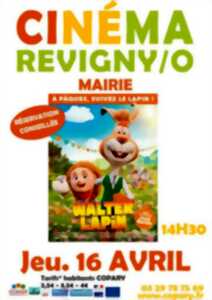 photo Cinéma en Copary