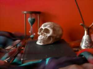 photo Visite-atelier 'Mosaïque et vanité'